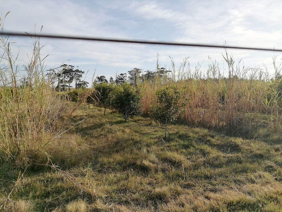 2 Bedroom Property for Sale in Kidds Beach Eastern Cape